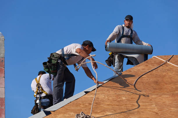 Best Roof Repair Services  in Burgettstown, PA